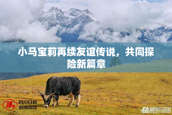 小马宝莉再续友谊传说，共同探险新篇章