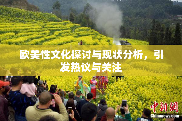 欧美性文化探讨与现状分析，引发热议与关注