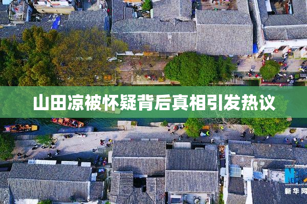 山田凉被怀疑背后真相引发热议