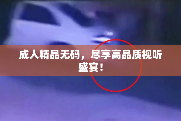 成人精品无码，尽享高品质视听盛宴！