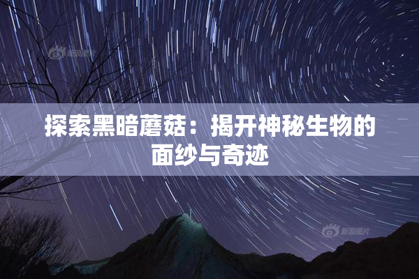 探索黑暗蘑菇：揭开神秘生物的面纱与奇迹
