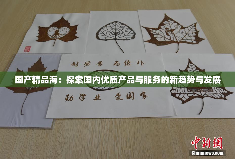 国产精品海：探索国内优质产品与服务的新趋势与发展