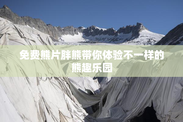 免费熊片胖熊带你体验不一样的熊趣乐园