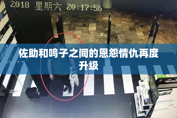 佐助和鸣子之间的恩怨情仇再度升级
