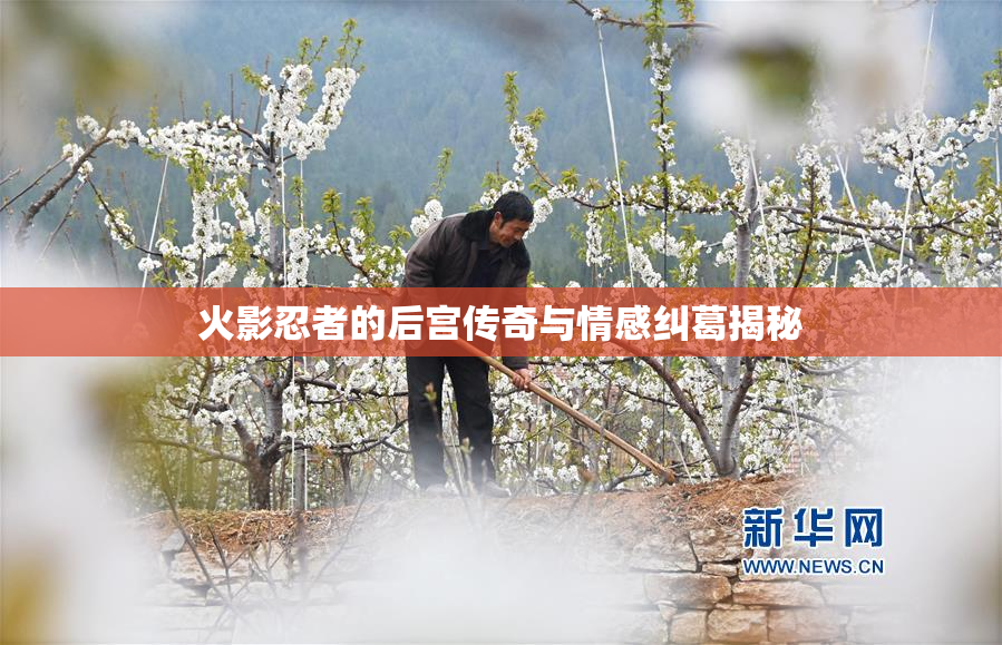 火影忍者的后宫传奇与情感纠葛揭秘