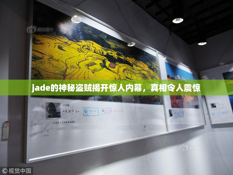 jade的神秘盗贼揭开惊人内幕，真相令人震惊