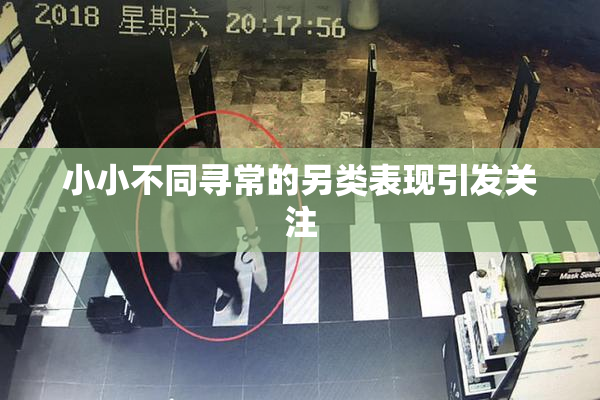 小小不同寻常的另类表现引发关注