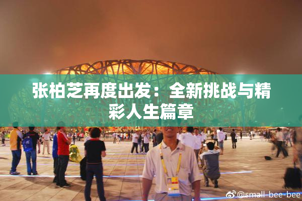 张柏芝再度出发：全新挑战与精彩人生篇章