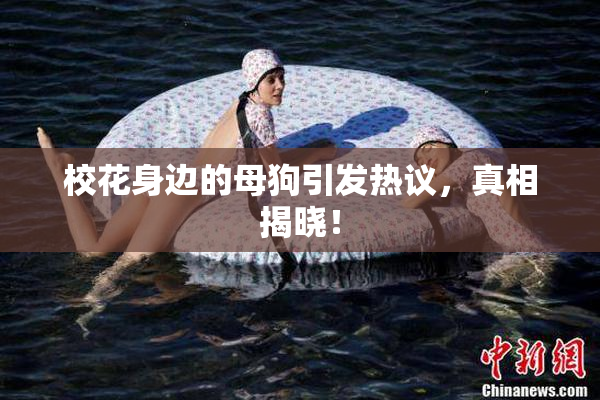 校花身边的母狗引发热议，真相揭晓！
