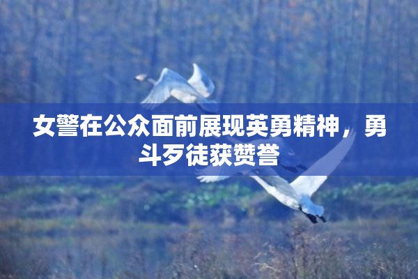 女警在公众面前展现英勇精神，勇斗歹徒获赞誉