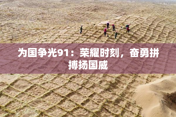 为国争光91：荣耀时刻，奋勇拼搏扬国威