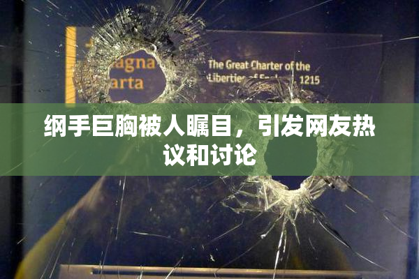 纲手巨胸被人瞩目，引发网友热议和讨论