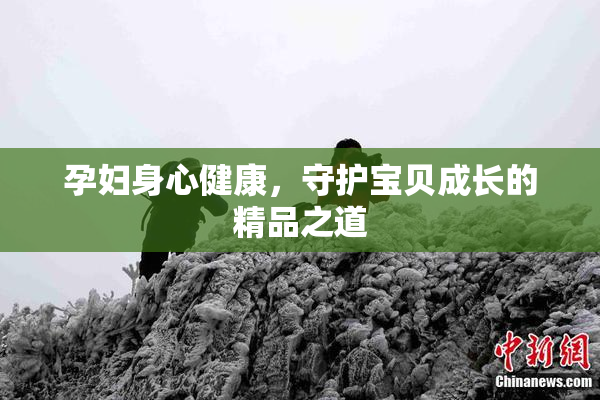 孕妇身心健康，守护宝贝成长的精品之道