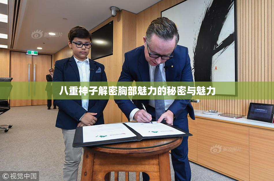 八重神子解密胸部魅力的秘密与魅力
