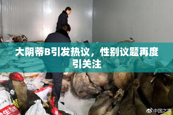 大阴蒂B引发热议，性别议题再度引关注