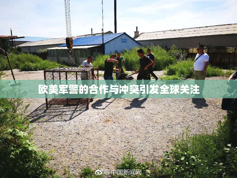 欧美军警的合作与冲突引发全球关注