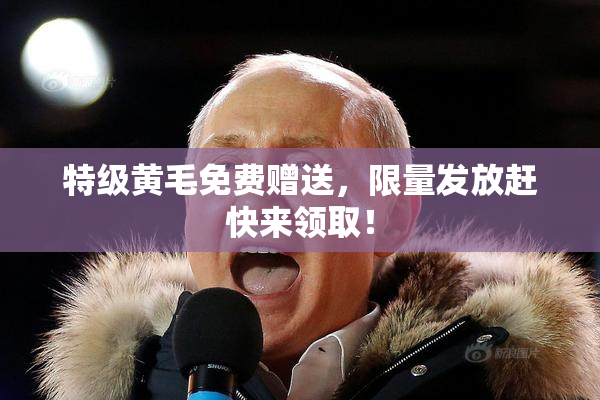 特级黄毛免费赠送，限量发放赶快来领取！