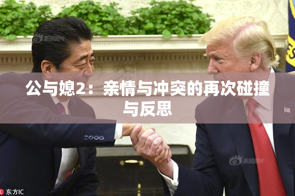 公与媳2：亲情与冲突的再次碰撞与反思
