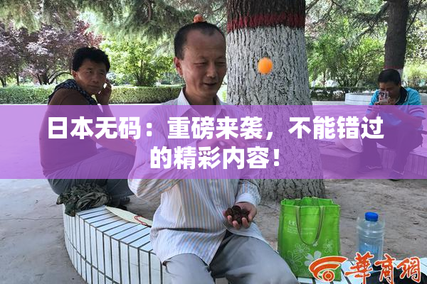 日本无码：重磅来袭，不能错过的精彩内容！