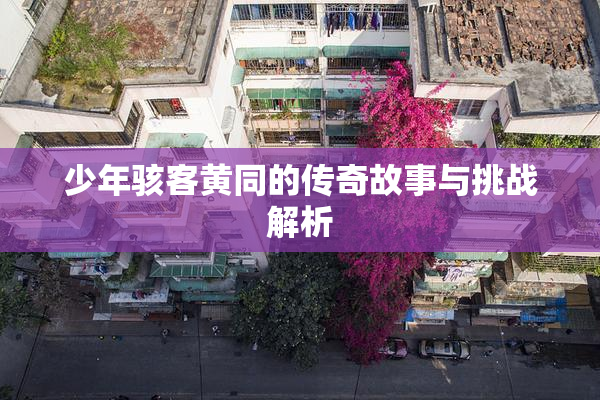 少年骇客黄同的传奇故事与挑战解析