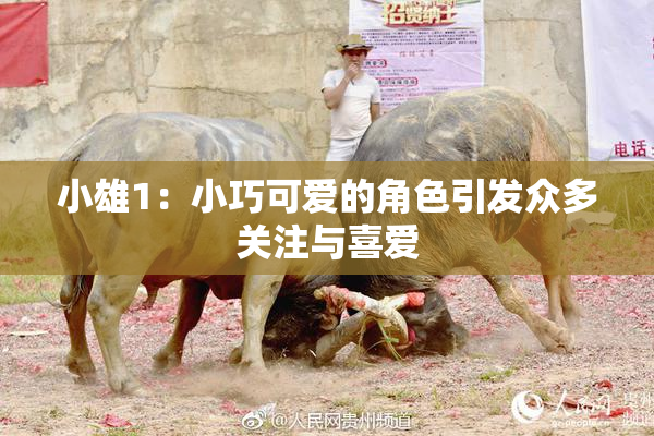 小雄1：小巧可爱的角色引发众多关注与喜爱