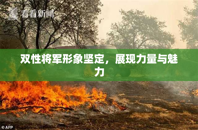 双性将军形象坚定，展现力量与魅力