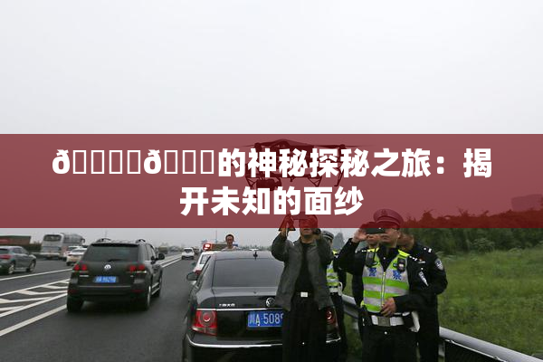🔞‌🍌的神秘探秘之旅：揭开未知的面纱