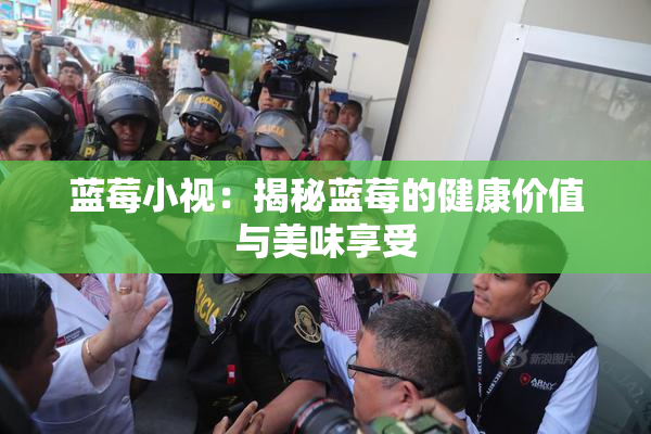 蓝莓小视：揭秘蓝莓的健康价值与美味享受