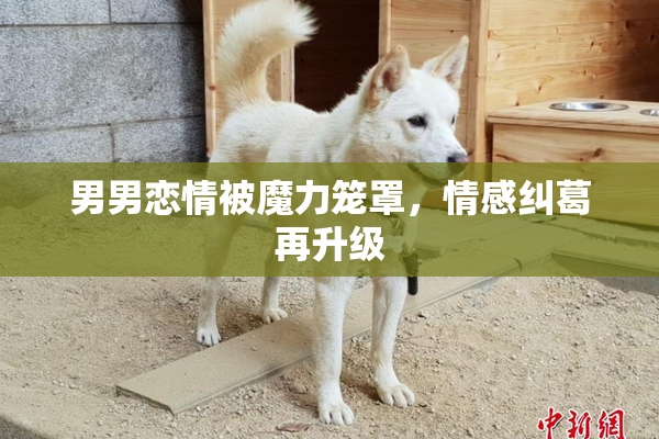 男男恋情被魔力笼罩，情感纠葛再升级