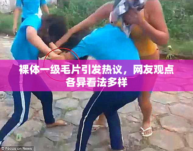 裸体一级毛片引发热议，网友观点各异看法多样