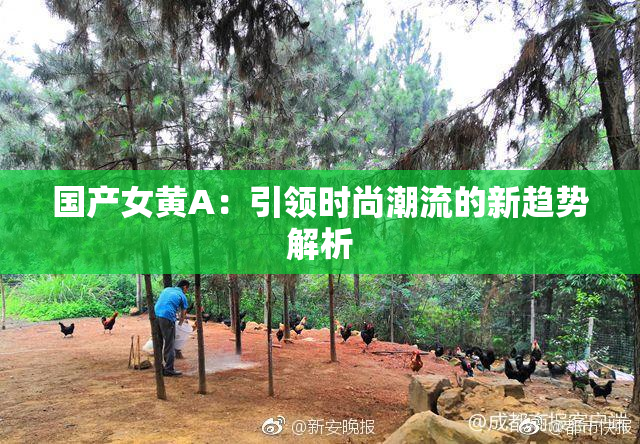 国产女黄A：引领时尚潮流的新趋势解析