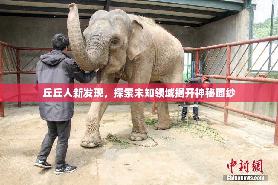 丘丘人新发现，探索未知领域揭开神秘面纱