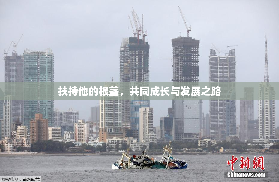 扶持他的根茎，共同成长与发展之路