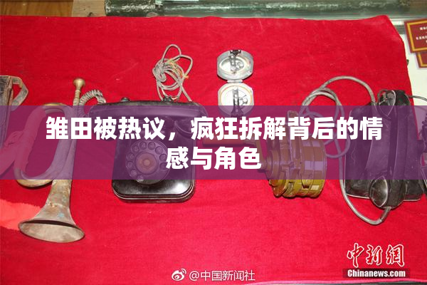 雏田被热议，疯狂拆解背后的情感与角色