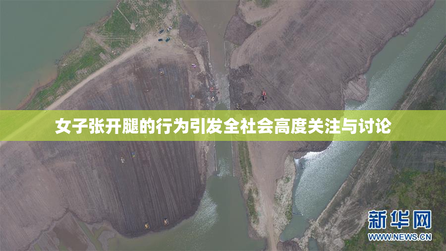 女子张开腿的行为引发全社会高度关注与讨论