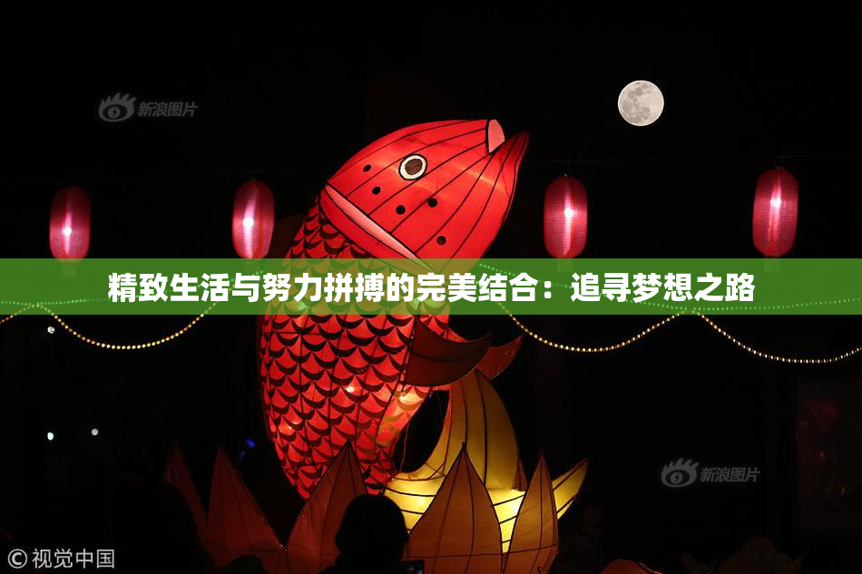 精致生活与努力拼搏的完美结合：追寻梦想之路
