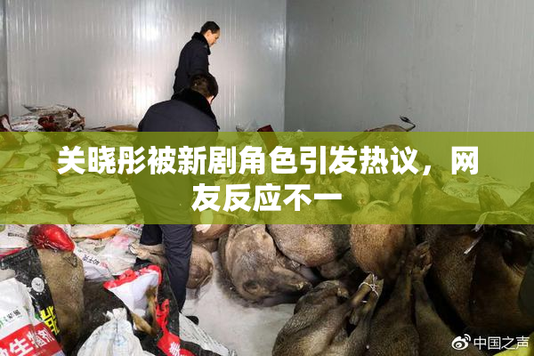 关晓彤被新剧角色引发热议，网友反应不一