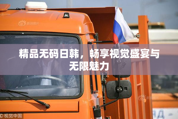 精品无码日韩，畅享视觉盛宴与无限魅力