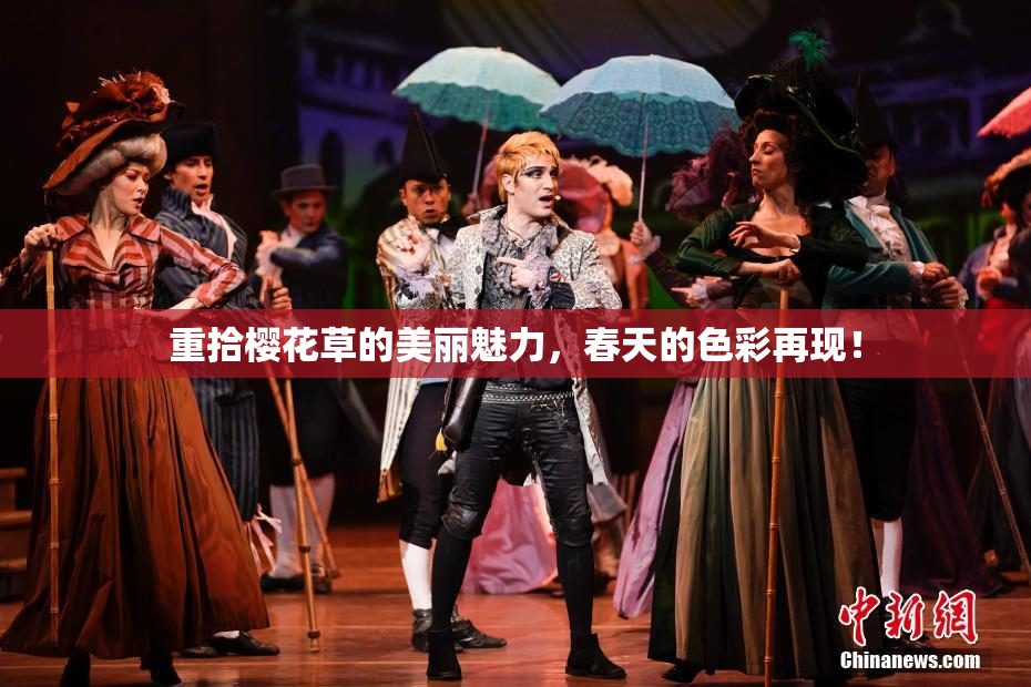 重拾樱花草的美丽魅力，春天的色彩再现！