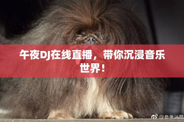 午夜DJ在线直播，带你沉浸音乐世界！