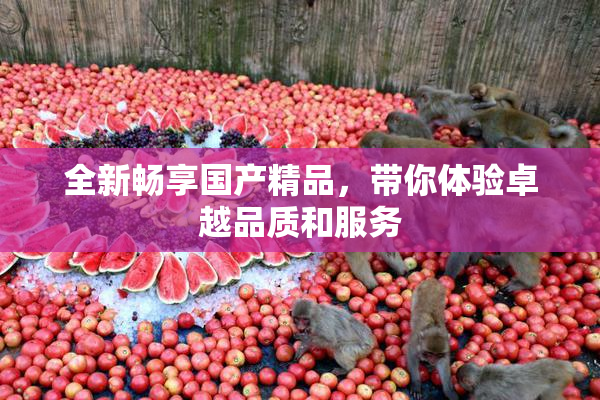 全新畅享国产精品，带你体验卓越品质和服务