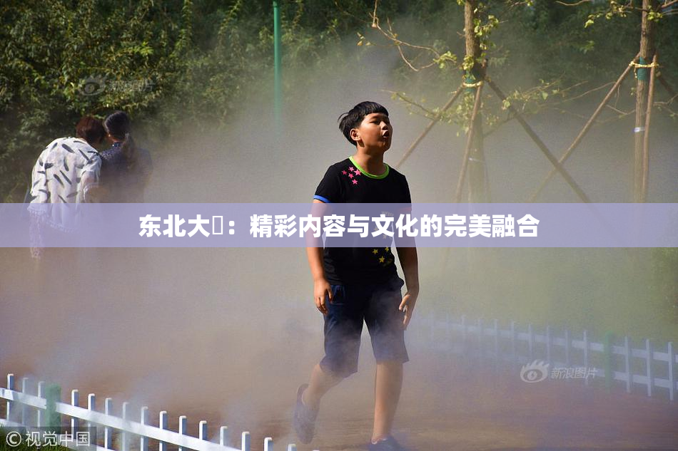 东北大鷄：精彩内容与文化的完美融合