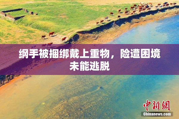 纲手被捆绑戴上重物，险遭困境未能逃脱