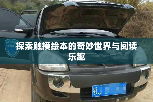 探索触摸绘本的奇妙世界与阅读乐趣