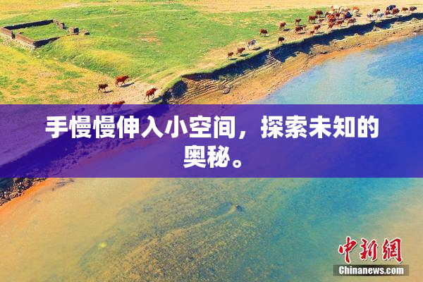 手慢慢伸入小空间，探索未知的奥秘。