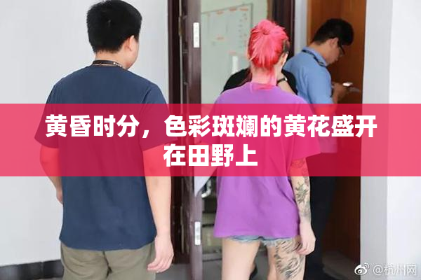 黄昏时分，色彩斑斓的黄花盛开在田野上