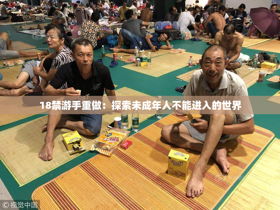 18禁游手重做：探索未成年人不能进入的世界
