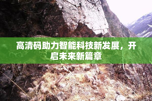 高清码助力智能科技新发展，开启未来新篇章