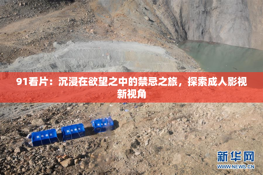 91看片：沉浸在欲望之中的禁忌之旅，探索成人影视新视角