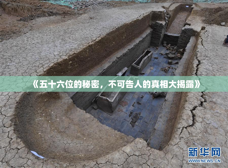 《五十六位的秘密，不可告人的真相大揭露》